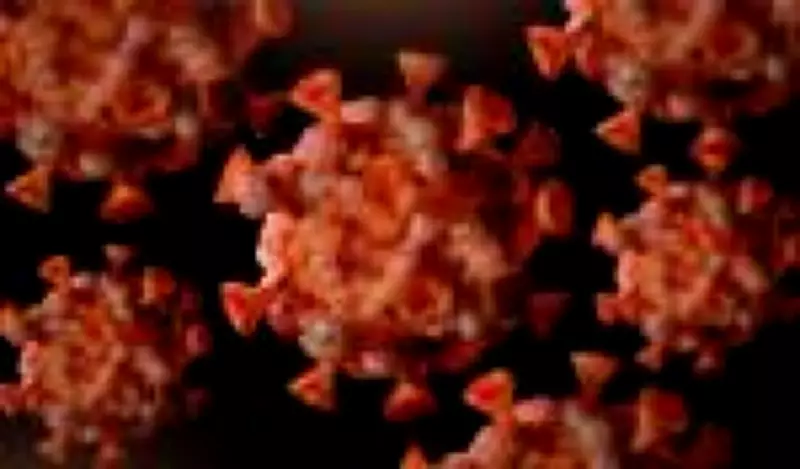 Casos de mpox no Brasil sobem para 140 em 2026, com São Paulo liderando registros