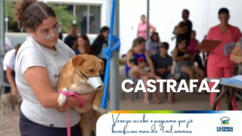 CastraFaz 2026: Veneza recebe ação que castrou 440 animais em Fazenda Rio Grande
