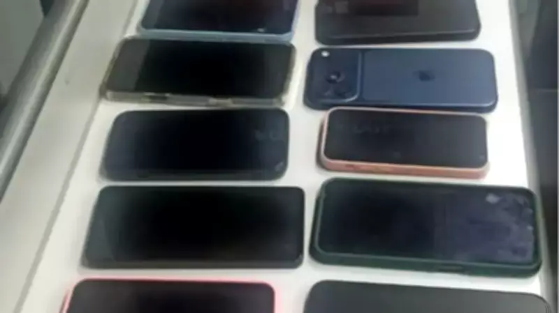 Celulares furtados no Lollapalooza em SP são recuperados pela polícia após ação de quadrilhas