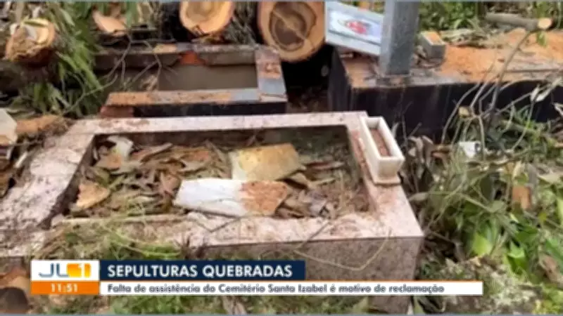 Cemitério de Belém tem túmulos danificados após queda de árvore e remoção problemática