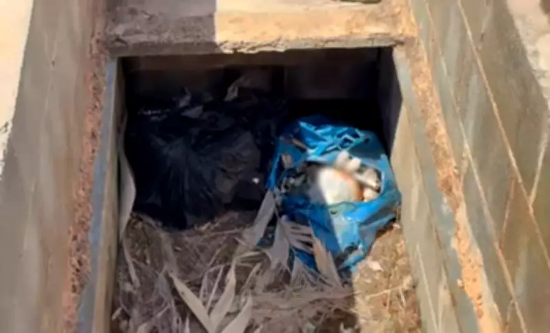 Cemitérios de Sumaré e Campinas têm túmulos violados e ossadas expostas