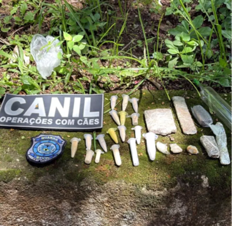 Cães farejadores encontram drogas e réplica de arma em mata de Petrópolis