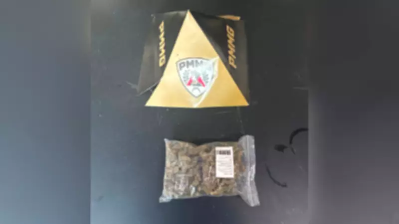 Cheiro de maconha em encomenda leva à descoberta de drogas em transportadora de Uberlândia