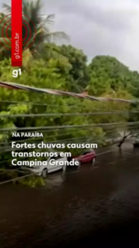 Chuva intensa e granizo causam estragos em Campina Grande; 16 árvores caídas