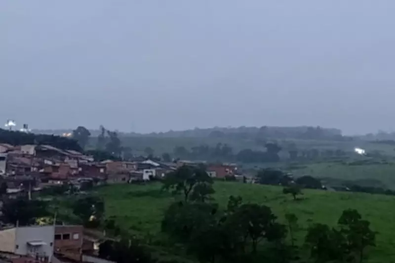 Chuva intensa e ventos fortes causam queda de árvores e alagamento em Campinas