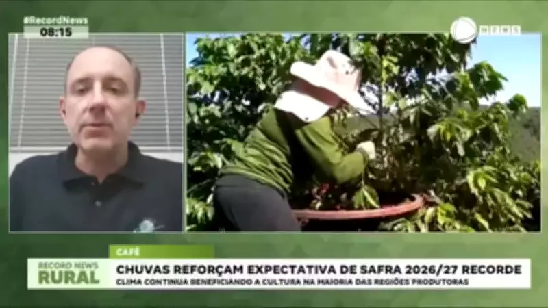 Chuvas favorecem safra recorde de café no Brasil em 2026-2027