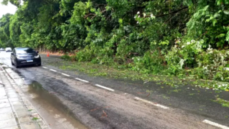 Chuvas intensas derrubam árvores e causam alagamentos em vias de João Pessoa