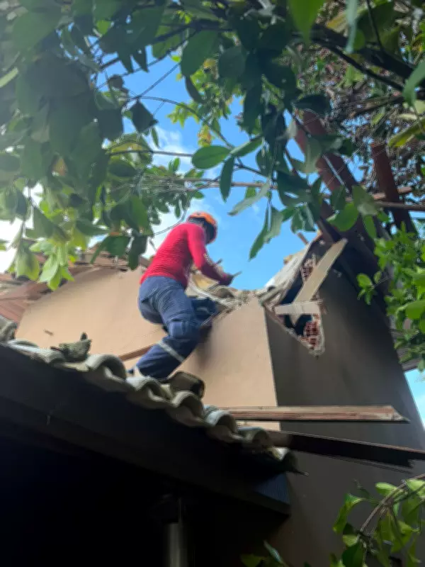 Chuvas intensas em Maricá causam queda de árvores e danos a residências