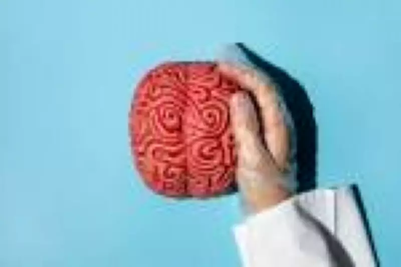 Cientistas desvendam segredo dos superidosos: cérebro gera novos neurônios na velhice