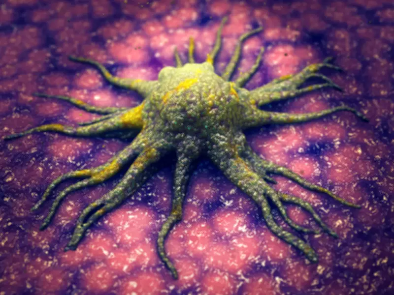 Cientistas testam 'molécula espelho' para frear câncer com precisão inédita