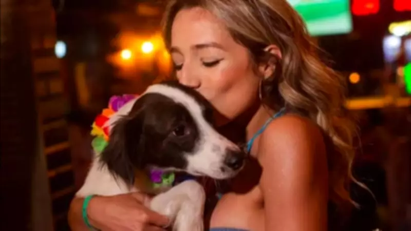 Cão Lindolfo, fenômeno do BBB 26, ganha prótese e emociona Samira Sagr com carta