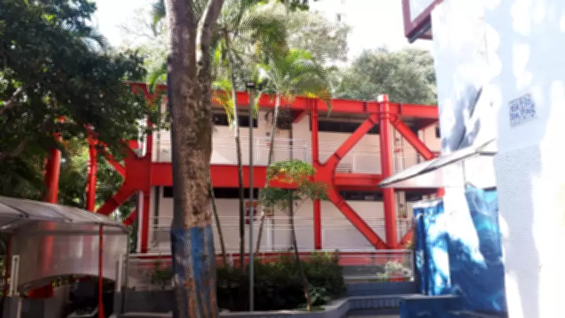 Colégio em São Paulo suspende alunos por mensagens misóginas em grupo de WhatsApp