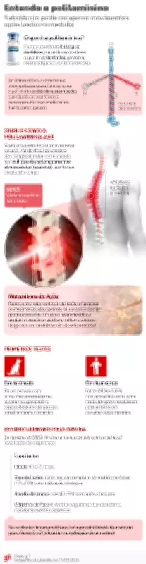 Comissão de Ética do HC-USP nega tratamento com polilaminina para sargento com lesão medular