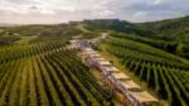 Como o Uruguai entrou no mapa mundial do vinho por acaso com a Bodega Garzón