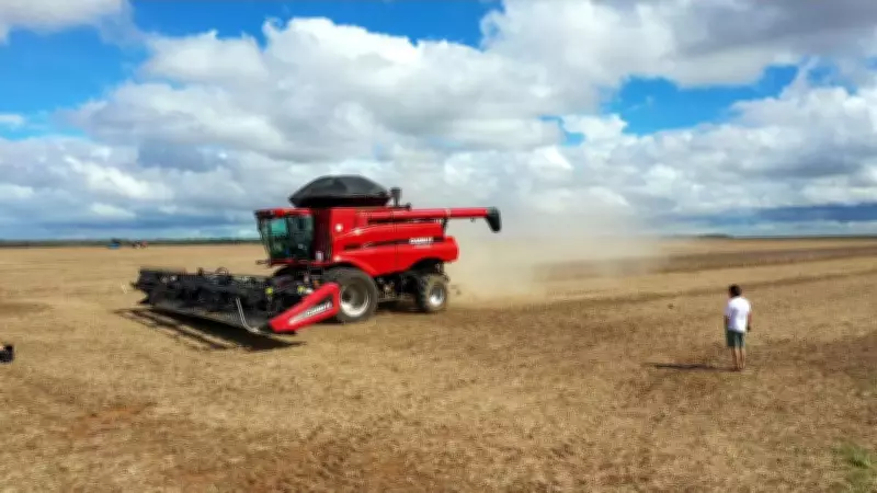 Conflito EUA-Irã deve aumentar custos do agronegócio brasileiro