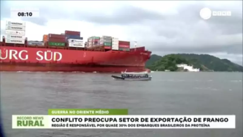 Conflito no Oriente Médio ameaça exportações brasileiras de frango