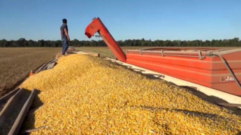 Conflito no Oriente Médio ameaça exportações do agronegócio brasileiro de forma crítica