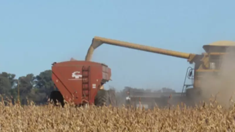 Conflito no Oriente Médio impulsiona soja brasileira, que pode atender 61% da demanda global