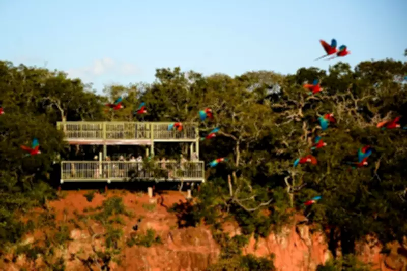 COP15 destaca papel das RPPNs na proteção de espécies migratórias e do Pantanal