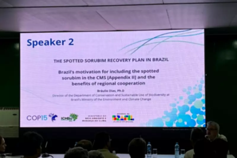COP15 discute inclusão do pintado em lista global de proteção durante conferência em Campo Grande
