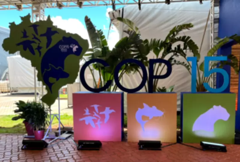 COP15 em Campo Grande: debates ambientais e chefes de Estado marcam abertura do evento