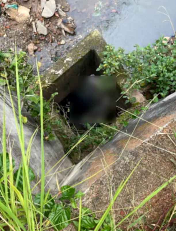 Corpo de homem é encontrado em córrego no bairro São Pedro, em Juiz de Fora