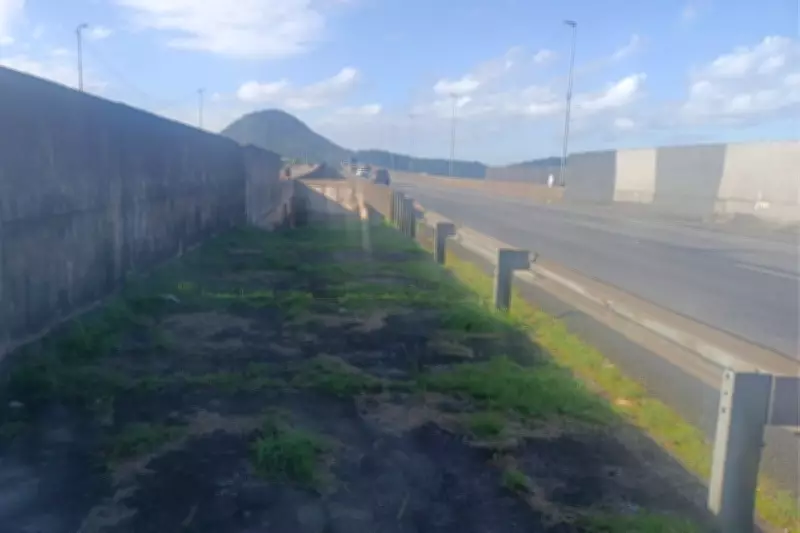 Corpo de mulher com sinais de violência é encontrado no canteiro da Rodovia dos Imigrantes em SP