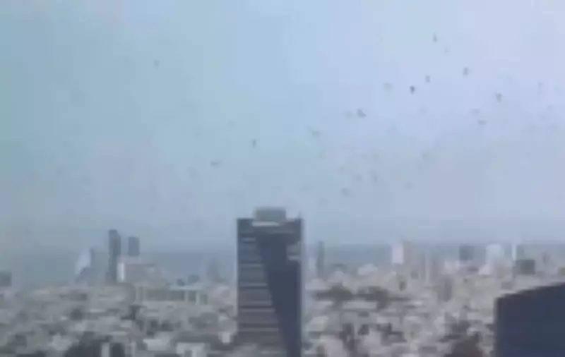 Corvos invadem céus de Tel Aviv e geram teorias apocalípticas nas redes sociais