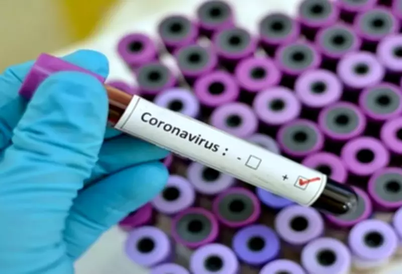 Covid-19 grave aumenta risco de câncer de pulmão, revela estudo norte-americano