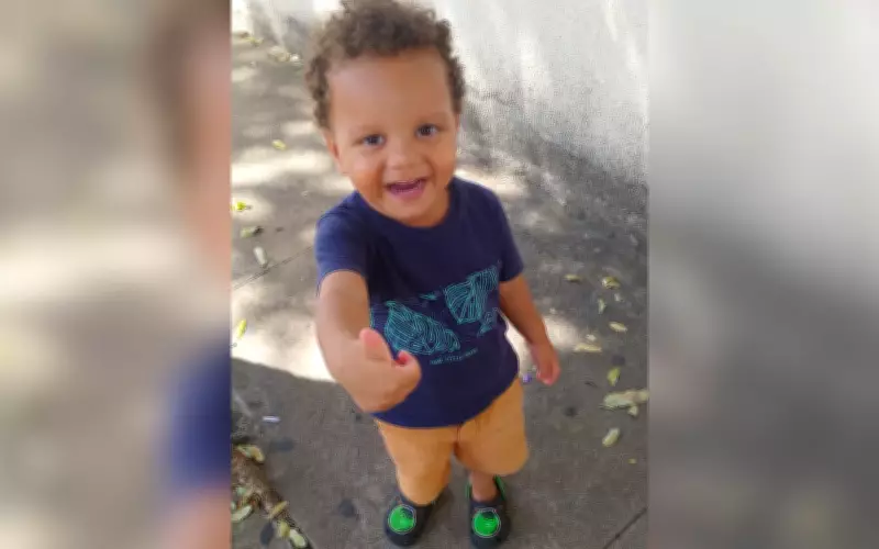 Criança de dois anos recebe alta após picada de escorpião em São José do Rio Preto