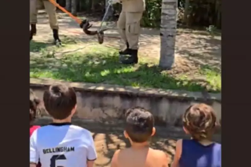 Crianças acompanham resgate de jiboia e divertem bombeiros com pedido inusitado em MS