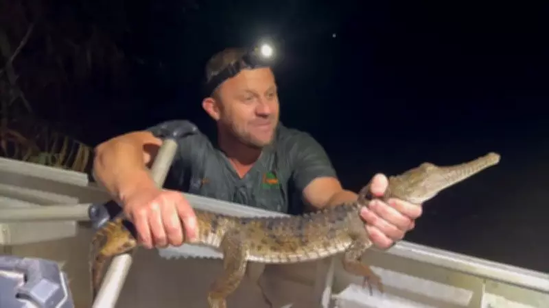 Crocodilo é resgatado em área urbana da Austrália após surpreender moradores