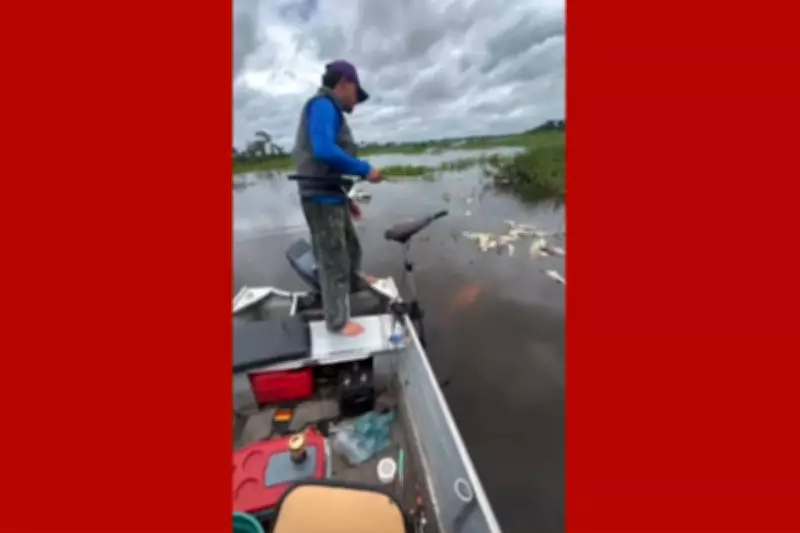 Decoada no Pantanal: Mortandade de Peixes no Rio Paraguai Alerta para Mudanças Climáticas