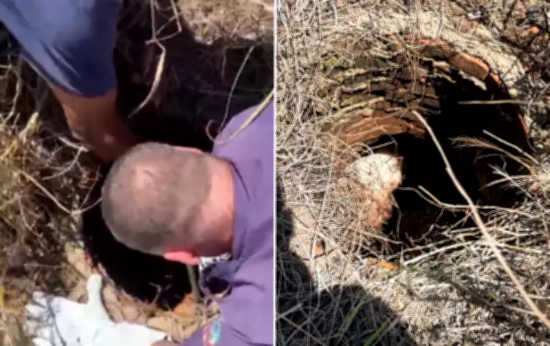 Defesa Civil resgata cachorro preso em tubulação de esgoto em Igaraçu do Tietê, SP