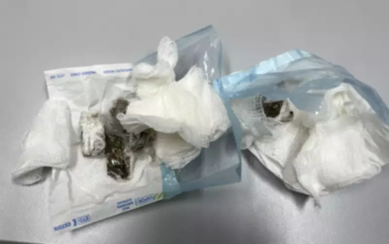 Dentista é presa ao tentar levar drogas escondidas em gaze para detento na Bahia