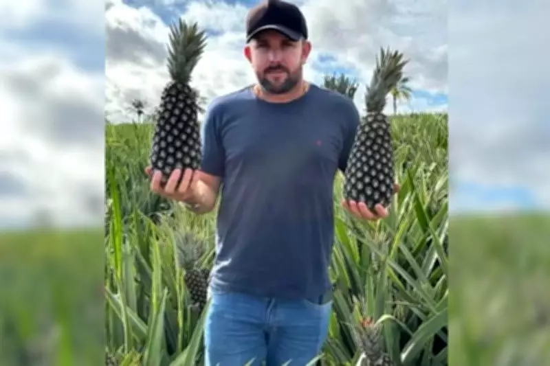 Digital parcial e lata de tinta levam à prisão de seis suspeitos por assassinato de produtor rural em Miranorte