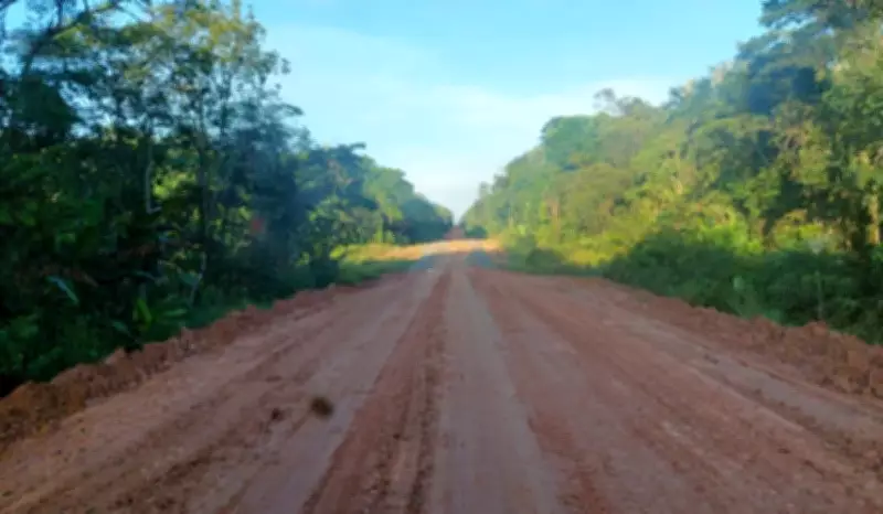 DNIT autoriza obras e licitação para pavimentação da BR-319 no Amazonas