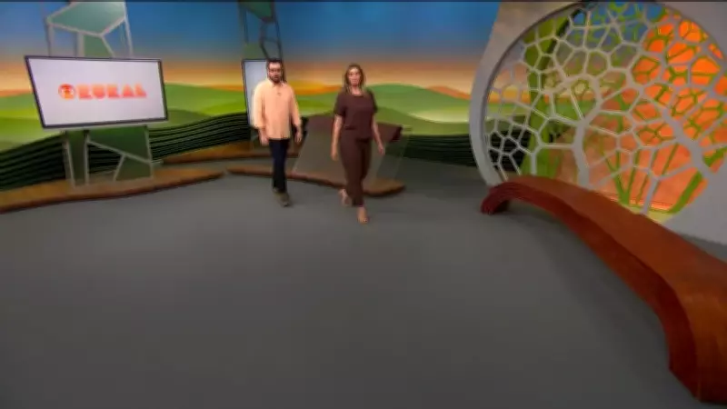 Do Mato Grosso para o mundo: a nova rota da soja brasileira e seus desafios logísticos