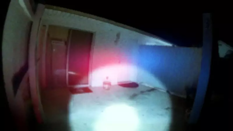 Documentários indicados ao Oscar abordam violência, aborto e sistema carcerário nos EUA