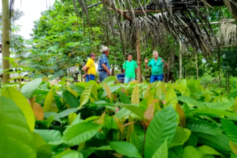 Emater-Pará abre Processo Seletivo Simplificado com mais de 20 vagas temporárias