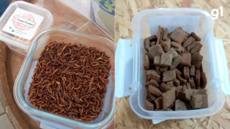 Empreendedora gaúcha investe em insetos comestíveis como alimento do futuro