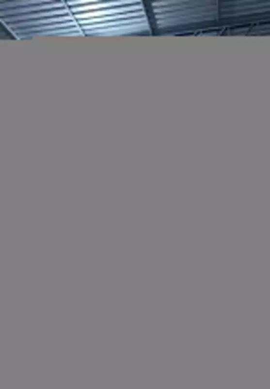 Empresa envolvida em fraude bilionária com 'e-books' é interditada em Minas Gerais