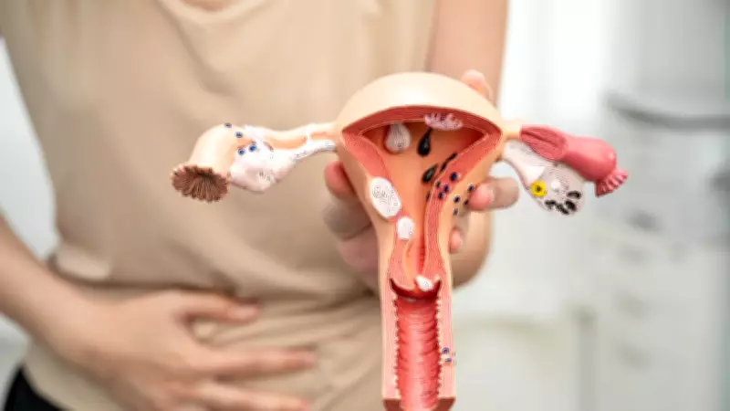 Endometriose: Doença afeta 7 milhões no Brasil e diagnóstico pode levar até 9 anos