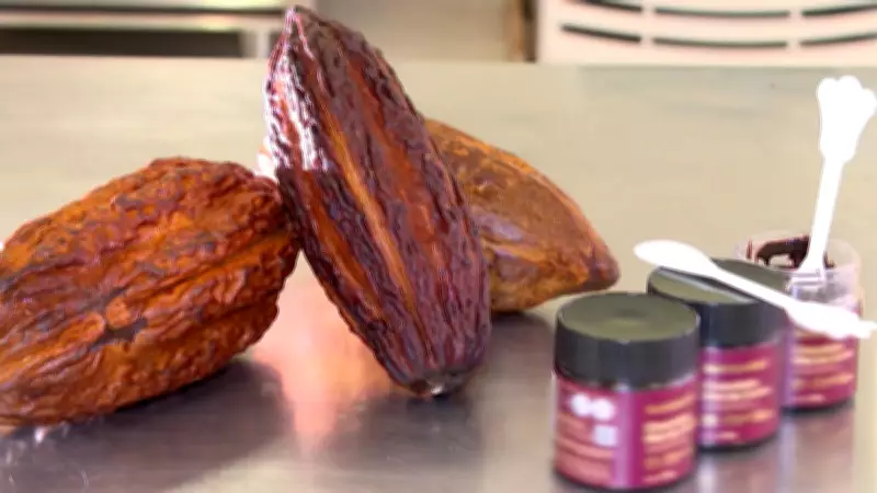 Engenheiro brasileiro cria chocolate sem gordura com apenas 37 calorias por porção