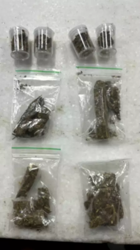 Entregador de app desconfia de pacote em Campinas e descobre maconha, acionando a PM