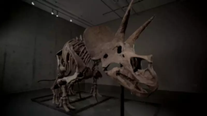 Esqueleto raro de tricerátops de 66 milhões de anos vai a leilão nos EUA