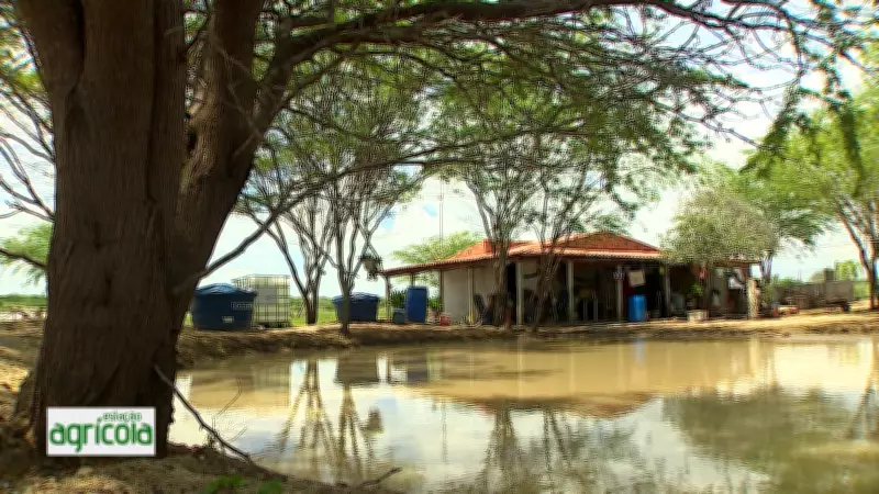 Estação Agrícola: Confira os Principais Destaques da Edição de 15 de Março de 2026