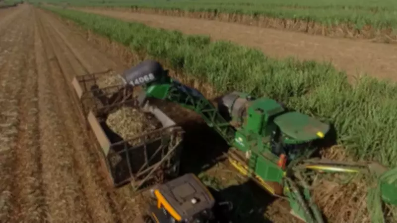 Estoque de etanol se esgota com fim da safra, mantendo preços estáveis em SP