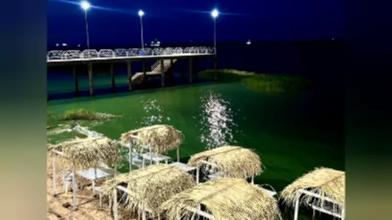 Estudo da Ufopa investiga florações de cianobactérias em praias do Tapajós em Santarém