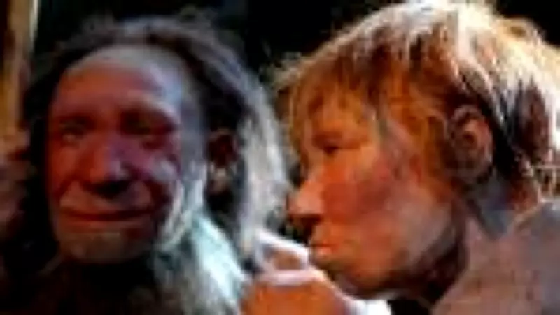 Estudo Genético Revela Padrões de Cruzamento Entre Neandertais e Humanos na Pré-História